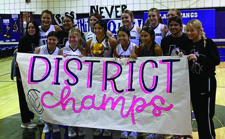 Playoff season to begin next week for Knox County teams Lady Stangs sweep 9-A conference play